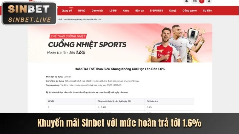 Các biểu tượng môn thể thao đa dạng